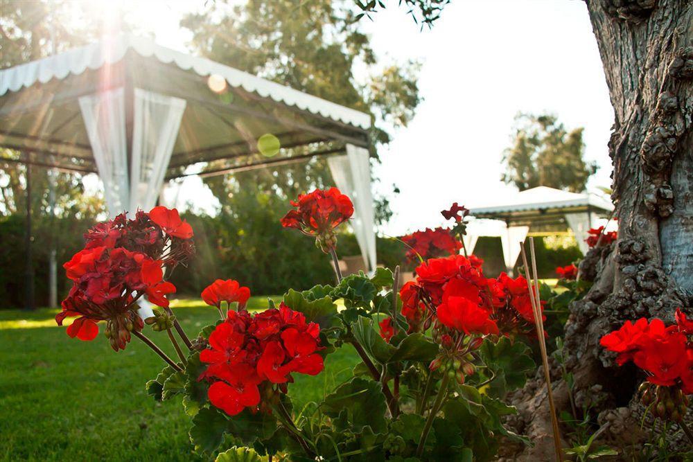 Las Bovedas Badajoz Exterior foto